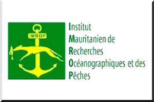 Communiqué de presse : IMROP