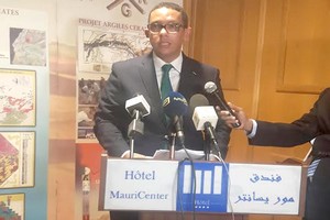 Mauritanie : création de nouvelles zones promotionnelles minières dans les régions de l'Est du pays