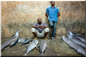 Greenpeace dénonce l’accord de pêche UE-Mauritanie