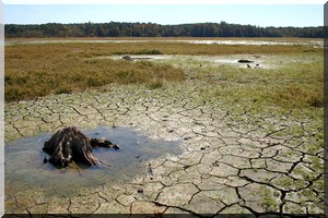 Oui au changement des systèmes de production et de consommation … Non au changement du climat !!