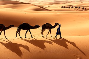 Mauritanie : 40 journalistes français arrivent à Atar pour booster l’image du tourisme national