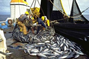 Mauritanie : controverse sur l’accord de pêche avec une société chinoise