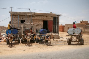 A Nouakchott, des ânes et des hommes transportent l'eau potable [PhotoReportage] 
