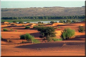 Mauritanie: la réduction de la taxe sur le visa désormais effective