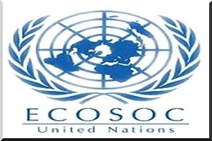 Le Comité spécial chargé  des ONG de l’ECOSOC recommande le statut consultatif  à l’Association Alkhayr... 