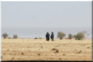  Mauritanie: un militaire tué dans des échanges de tirs avec des trafiquants de drogue présumés 