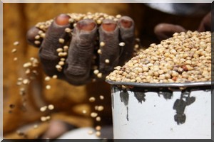 Sécurité alimentaire : signature d’un mémorandum entre la Mauritanie et la FAO