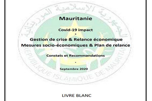 Publication du Livre blanc :