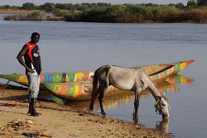 Mauritanie : Booster le développement économique du Sud