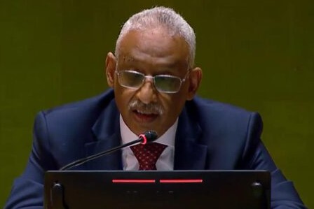 ONU : la Mauritanie souligne la nécessité de prendre des mesures pour freiner l’islamophobie