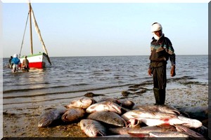 Nouakchott : Le prix des poissons prend l’ascenseur