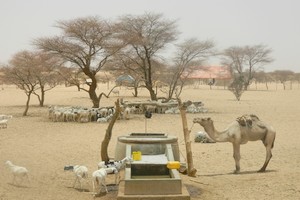 Crise pastorale explosive en Mauritanie : Note d'alerte