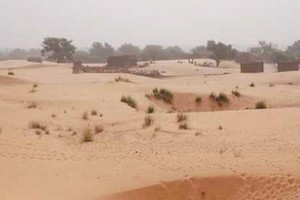 Sahel: la saison pastorale pour l’an prochain risque d’être laborieuse