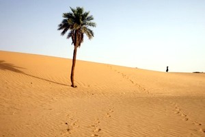 Sécurité au Sahel : la Mauritanie déclare sa frontière avec l’Algérie, « zone militaire »