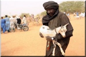 Réfugiés maliens en Mauritanie: Les agences de l’Onu appellent à renforcer l'aide 