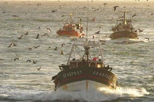 Renouvellement de l’accord de pêche mauritano-européen 