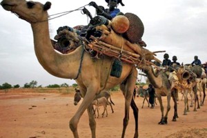 Mauritanie : l’État va dégager une enveloppe de 500 millions d’ouguiyas pour soutenir les activités culturelles