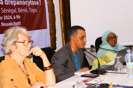 Colloque sur le renforcement des mécanismes de lutte contre la drépanocytose en Mauritanie - Photoreportage