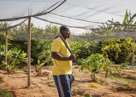 L’agroécologie, vecteur d’avenir en Mauritanie