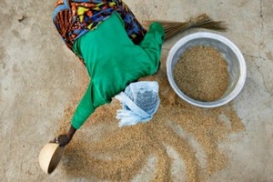 Mauritanie : réunion ministérielle à Nouakchott sur la sécurité alimentaire au Sahel
