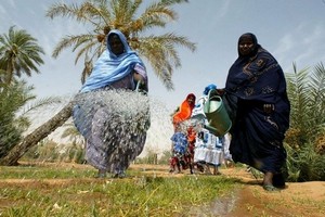 Mauritanie/COVID-19 : soutien allemand au PAM pour renforcer la résilience des populations 
