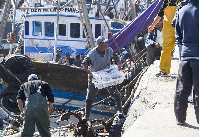 La Mauritanie et le Maroc conviennent d'un protocole de pêche commun 