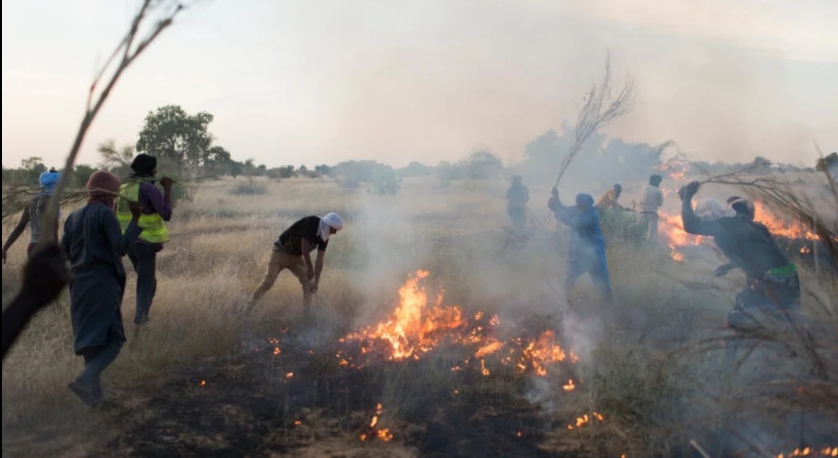 Ministère de l’environnement : le budget alloué à la lutte contre les feux de brousse a augmenté de moitié
