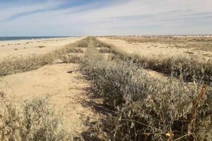 Nouakchott, colmatage de cordons dunaires