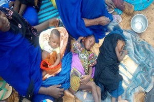 Mauritanie: la sécheresse fait des morts à l'est du pays
