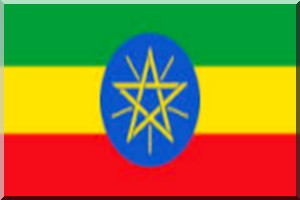 L'Ethiopie prépare sa candidature au Conseil de sécurité de l'ONU
