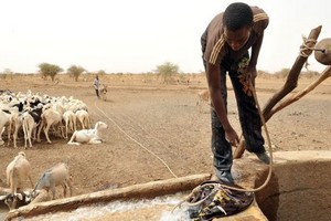 Sept millions de personnes menacées par la famine au Sahel