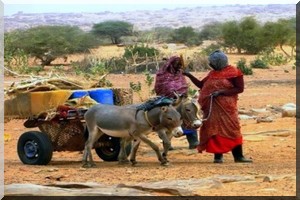 Mauritanie : 245 millions d’ouguiyas pour appuyer les femmes de Tagant