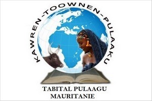 JIV en Mauritanie : Les autorités prennent en charge la restauration au palais des congrès 