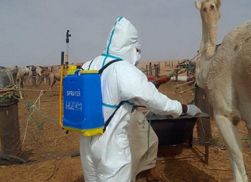 Mauritanie-Santé : Deux morts à Lebheir des suites d’une fièvre hémorragique