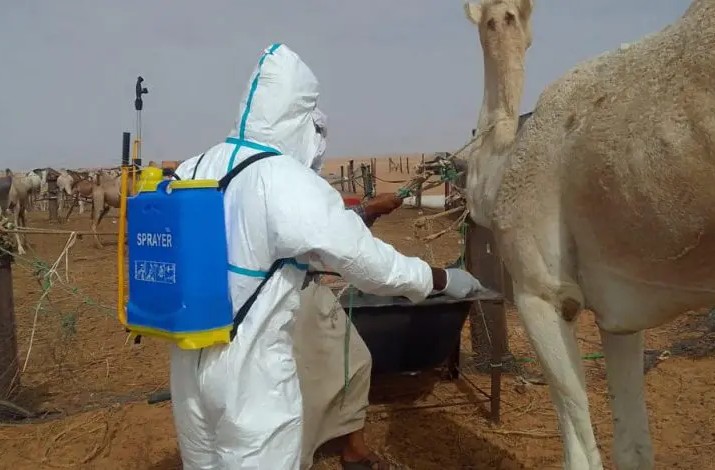 Mauritanie: épidémie de fièvre de la maladie du Rift