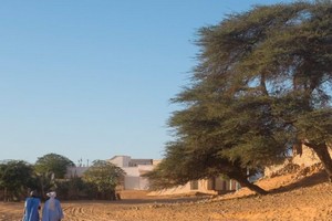 Mauritanie : le FAD finance la résilience au changement climatique à hauteur de 2,1 M$