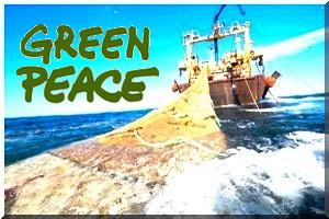Greenpeace sensibilise sur une pêche responsable dans l’espace de la CSRP