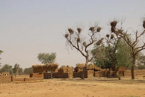 Mali: plus de cent morts dans un massacre dans le village peul d'Ogossagou