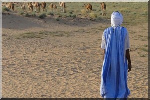 rencontres femmes berberes