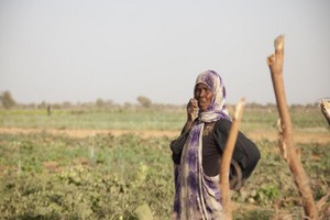 Mauritanie: les anciens réfugiés au Sénégal pas tous rétablis dans leurs droits 