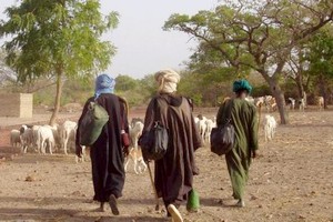 Mauritanie: éleveurs transhumants d’Afrique de l’ouest en conclave à Abidjan