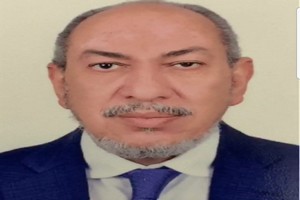 Mohamed Mahmoud Ould Cheikh Abdoullah Boya : Qui est le ministre de la Justice ? 