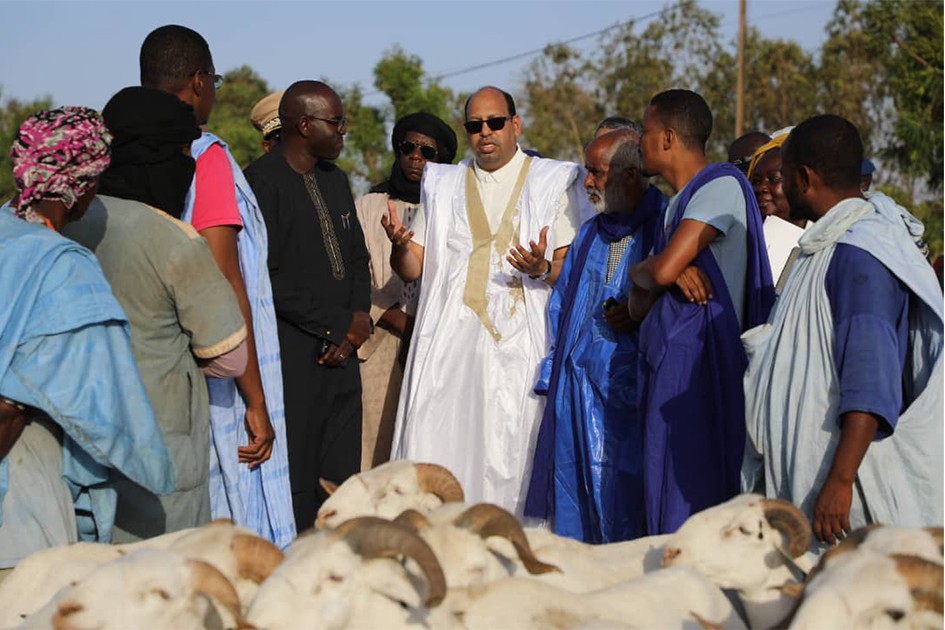 La vente de moutons de sacrifice au Sénégal a généré plus de 8