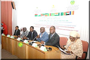 15 millions de dollars américains pour l'Agence mauritanienne de la Grande Muraille Verte