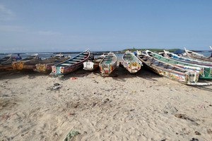 Mauritanie : Interception de clandestins en destination d’Espagne