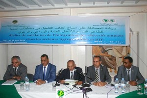 Mauritanie : le gouvernement identifie les niches d’emplois