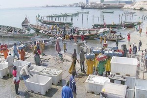 Grève générale des pêcheurs artisanaux