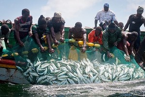 Mauritanie : 27 millions d’euros pour la formation des pêcheurs