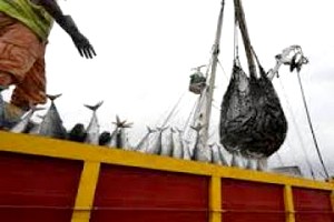 Greenpeace dénonce l'inaction contre la pêche illégale en Afrique de l'Ouest