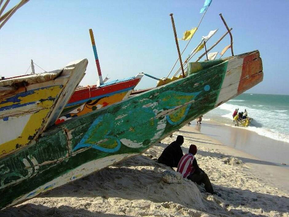 La sardinelle interdite de pêche par le gouvernement mauritanien